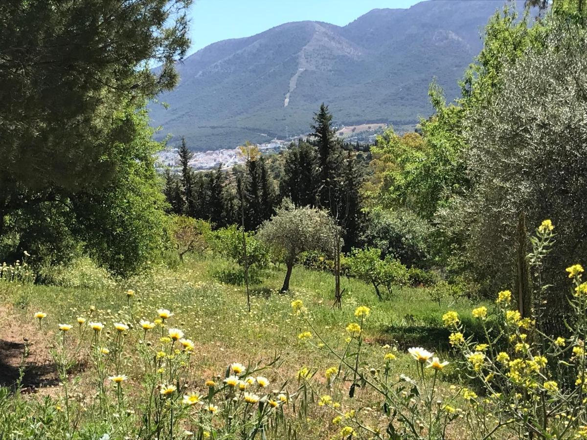 Studio Views Apartment, Cortijo Fruitful Hills Málaga Exteriör bild