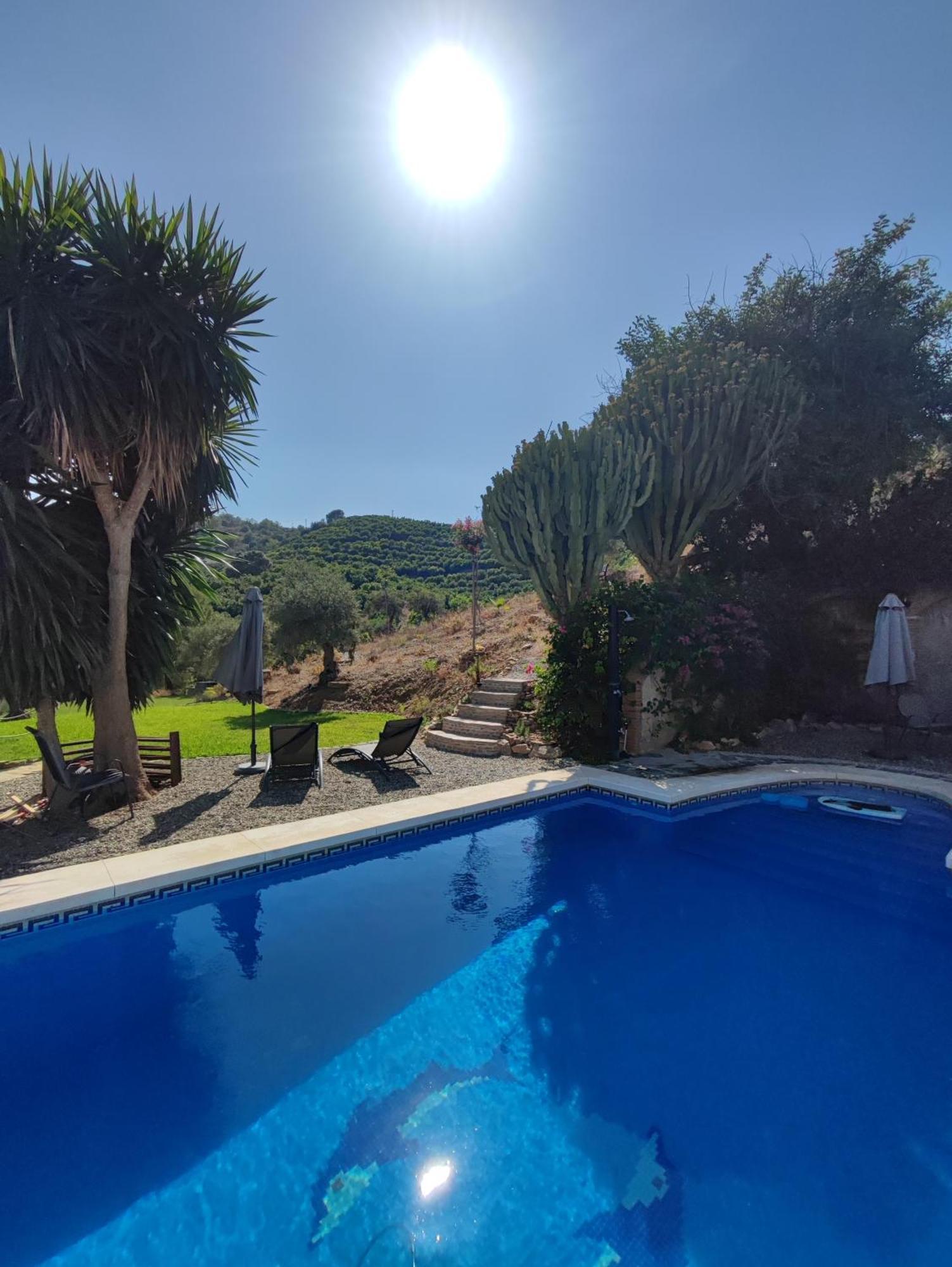 Studio Views Apartment, Cortijo Fruitful Hills Málaga Exteriör bild